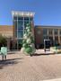 Primary view of [Photo of a Christmas Tree Outside the Student Union Building on the University of North Texas Campus]