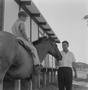 Photograph: [Danny Citron on a horse held by Dr. Ralph Citron, 1]