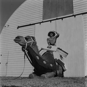 Primary view of object titled '[A model holding boxes on a Neiman-Marcus camel, 5]'.