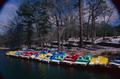 Photograph: [Boating Serenity: Rentals at Tyler State Park]