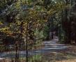 Photograph: [Tranquil Trails: A Journey Through Tyler State Park]