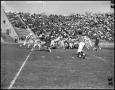 Photograph: [North Texas Vs. Tulsa Football Game, 1961]