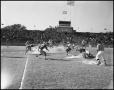 Photograph: [1960 North Texas versus Tulsa game]