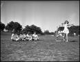 Photograph: [Women playing softball]