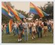 Thumbnail image of item number 1 in: '[Dave Lewis and Bill Nelson at Pride III]'.