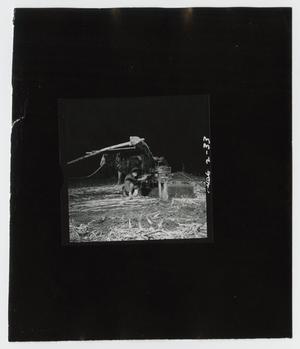 Primary view of object titled '[Grinding Cane into the Night]'.