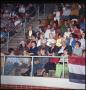 Photograph: [Rodeo crowd in the Stands]