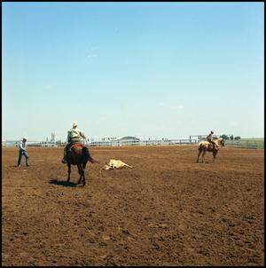 Primary view of object titled '[Two riders roping in a large arena]'.