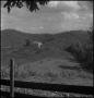 Photograph: [Farm surrounded by forest]