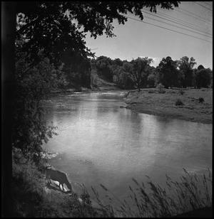 Primary view of object titled '[Clear stream with cow drinking]'.