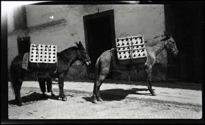 Primary view of object titled '[2 Donkeys]'.