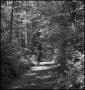 Photograph: [Horse-riding down a forest trail]