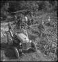 Photograph: [Tractor driven press at stir-off]
