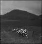 Photograph: [Mountain Funeral: Final Resting Place]