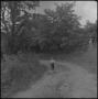 Photograph: [Toddler walking down a trail]