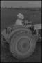Photograph: [Photograph of a farmer and a young boy driving a tractor, 1]