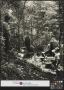 Primary view of [Armed Moonshiners Pause for a Drink in Woods (2)]