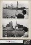Primary view of [Photographs of a Man Sailing]