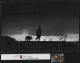 Photograph: [Silhouette of Jimmy Powell and his dog, Old Tize]