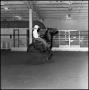 Photograph: [Cowboy riding in the Cutter Bill Arena]