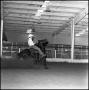 Photograph: [Left frame view of cowboy riding rearing horse]