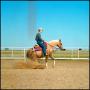 Photograph: [Man Riding a Horse at McQuay Stables]