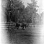 Photograph: [Man and Woman Riding Horses Inside a Fence]