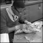 Photograph: [Student conducts dissection on fish]
