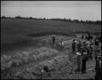 Photograph: [Crowd of people watching two men scythe down wheat]