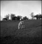 Photograph: [Horse grazing in a field, 3]