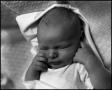 Photograph: [Newborn baby Junebug, 6]