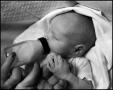 Photograph: [Newborn baby Junebug drinking, 5]