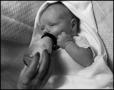 Photograph: [Newborn baby Junebug drinking, 6]