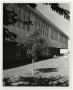 Photograph: [Tree in Front of the Health Service Center]