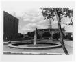 Photograph: [Photograph of the Library Mall]