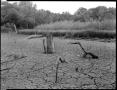Photograph: [Drought at Lake Weatherford]