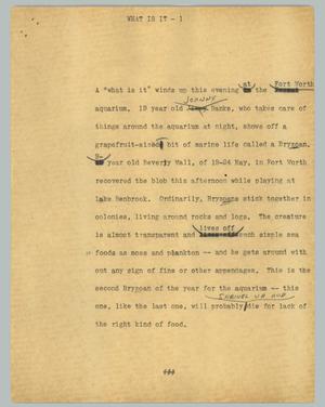 Primary view of object titled '[News Script: What is it]'.