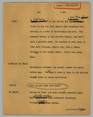 Primary view of object titled '[News Script: Zoo]'.