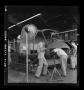 Photograph: [Bell employees working on the fuselage of an XH-40]