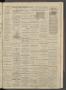 Thumbnail image of item number 3 in: 'Fort Worth Daily Standard. (Fort Worth, Tex.), Vol. 2, No. 275, Ed. 1 Thursday, July 11, 1878'.