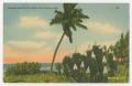 Postcard: [Postcard from Lt. Edward Drew to Mickey Eleanor, January 13, 1943]