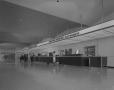 Thumbnail image of item number 1 in: '[Austin Municipal Airport Ticket Desk]'.