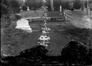 Primary view of object titled '[Burial Plot]'.