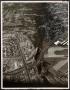 Photograph: [Aerial View of Bachman Lake Park Extension and Surrounding Area]