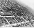 Thumbnail image of item number 1 in: '[Aerial view of Rosenberg with a football field to the left of the photo]'.