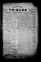 Newspaper: The Lavaca County Tribune (Hallettsville, Tex.), Vol. 1, No. 66, Ed. …