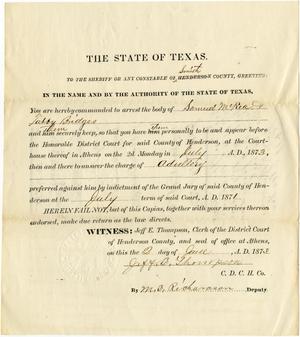 Primary view of object titled 'Documents related to the case of The State of Texas vs. Samuel McRea and Tabby Bridges, cause no. 730, 1873'.