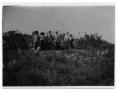 Photograph: Workers Clearing the Land for Progress