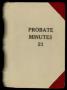 Book: Travis County Probate Records: Probate Minutes 21