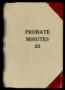 Book: Travis County Probate Records: Probate Minutes 20